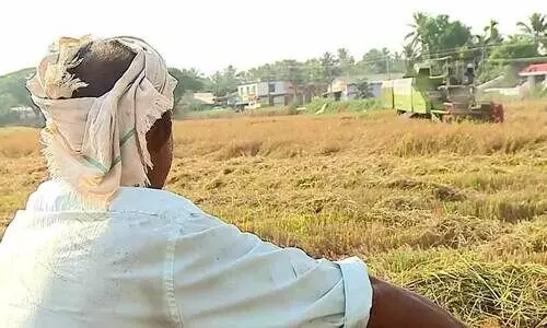 നെൽകർഷകർക്ക് കിട്ടാനുള്ളത് 35.60 കോടി