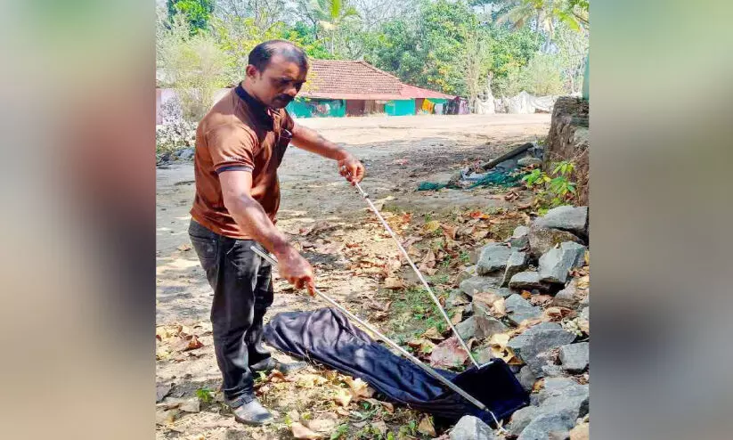 പാമ്പുകള്ക്ക് ഷിന്സനുണ്ട്... പാമ്പുകള്ക്ക് ഷിന്സനുണ്ട്...