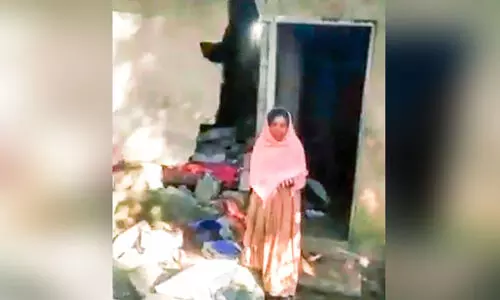 Elephant Destroyed House