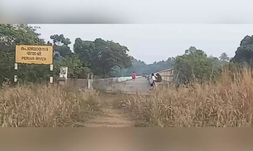 drug mafia drug mafia