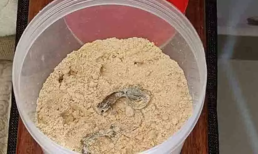 കുട്ടികൾക്ക് വിതരണം ചെയ്ത അമൃതം പൊടിയിൽ ചത്ത പല്ലി കുട്ടികൾക്ക് വിതരണം ചെയ്ത അമൃതം പൊടിയിൽ ചത്ത പല്ലി