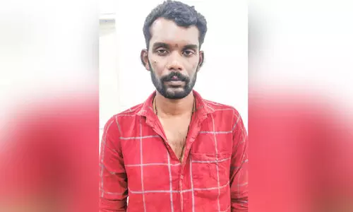 Online Franchise Fraud