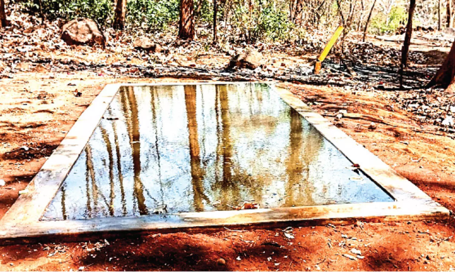 വന്യമൃഗങ്ങൾക്ക് ദാഹജലമൊരുക്കി എലവഞ്ചേരി വന സംരക്ഷണ സമിതി