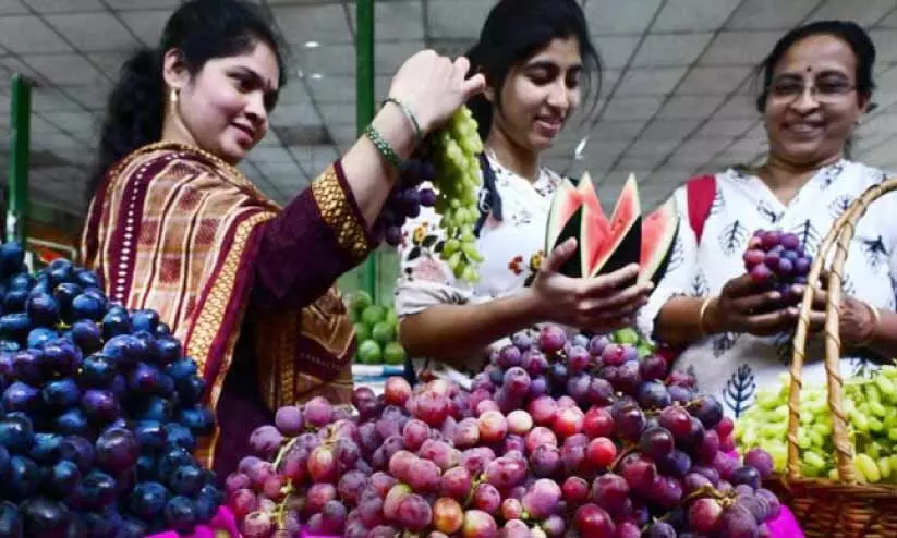 മുന്തിരിയും തണ്ണിമത്തനും ഇഷ്ടം പോലെ, മധുരമൂറും മേള തുടങ്ങി മുന്തിരിയും തണ്ണിമത്തനും ഇഷ്ടം പോലെ, മധുരമൂറും മേള തുടങ്ങി