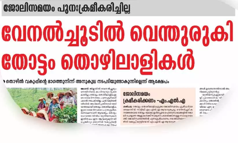 വേനൽച്ചൂട്: തോട്ടം തൊഴിലാളികളുടെ ജോലിസമയം പുനഃക്രമീകരിച്ചു