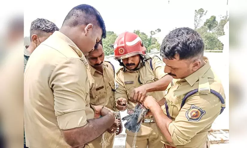 വലയിൽ കുരുങ്ങിയ പ്രാവിനെ ഫയർഫോഴ്സ് സാഹസികമായി രക്ഷപ്പെടുത്തി