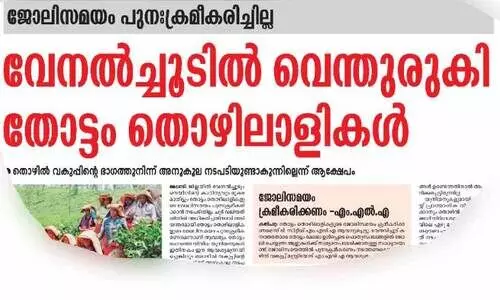വേനൽച്ചൂട്: തോട്ടം തൊഴിലാളികളുടെ ജോലിസമയം പുനഃക്രമീകരിച്ചു