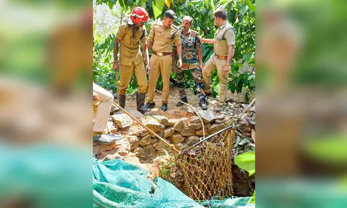കിണറ്റിൽനിന്ന് രക്ഷിക്കുന്നതിനിടെ കാട്ടുപന്നി ഫയർഫോഴ്സ് ഉദ്യോഗസ്ഥരെ ആക്രമിച്ചു