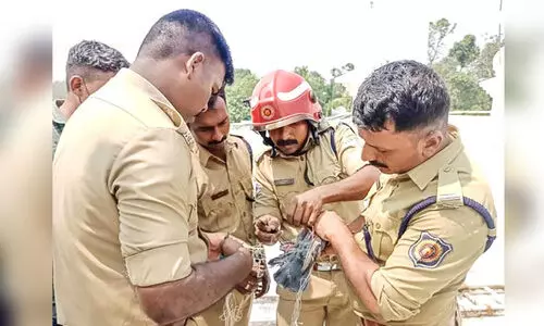 വലയിൽ കുരുങ്ങിയ പ്രാവിനെ ഫയർഫോഴ്സ് സാഹസികമായി രക്ഷപ്പെടുത്തി