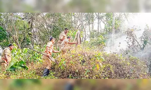 റബര്‍ തോട്ടത്തില്‍ തീ പിടിത്തം
