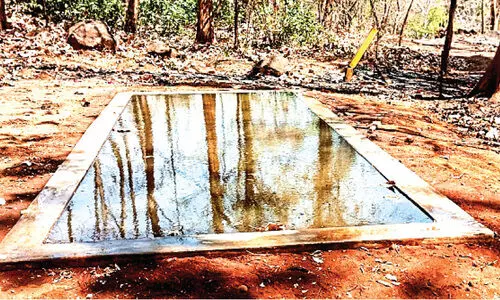 വന്യമൃഗങ്ങൾക്ക് ദാഹജലമൊരുക്കി എലവഞ്ചേരി വന സംരക്ഷണ സമിതി