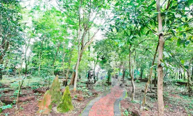 സംസ്ഥാന വനമിത്ര അവാർഡ് തളിപ്പറമ്പ് സർ സയ്യിദ് കോളജിന്