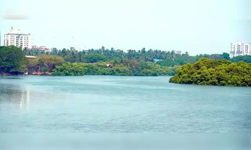 മ​റ്റൊ​രു വേ​ന​ൽ​കൂ​ടി; ക​ല്ലാ​യി​പ്പു​ഴ ഇ​നി​യും വൃ​ത്തി​യാ​ക്കാ​നാ​യി​ല്ല