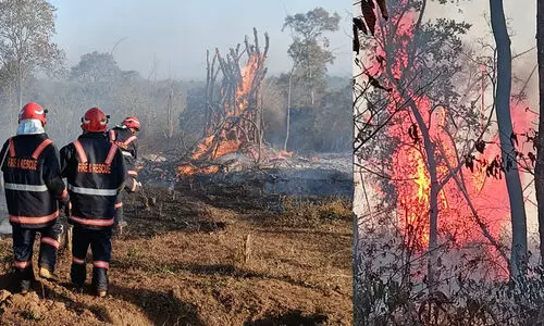 വയനാട് വന്യജീവി സങ്കേതത്തില് തീപിടിത്തം; അണച്ചത് നാലു മണിക്കൂർ കൊണ്ട് വയനാട് വന്യജീവി സങ്കേതത്തില് തീപിടിത്തം; അണച്ചത് നാലു മണിക്കൂർ കൊണ്ട്