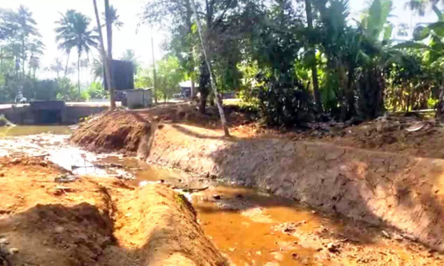 ആ​മ​ത്തോ​ട്