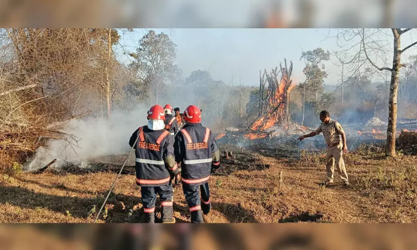 Forest fire in Sultan Bathery
