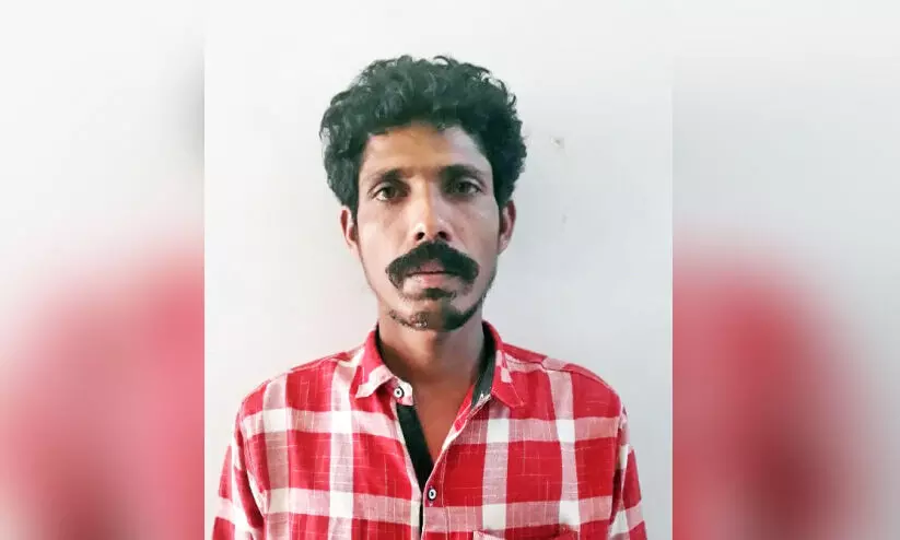 പ്രമോദ് പ്രമോദ്