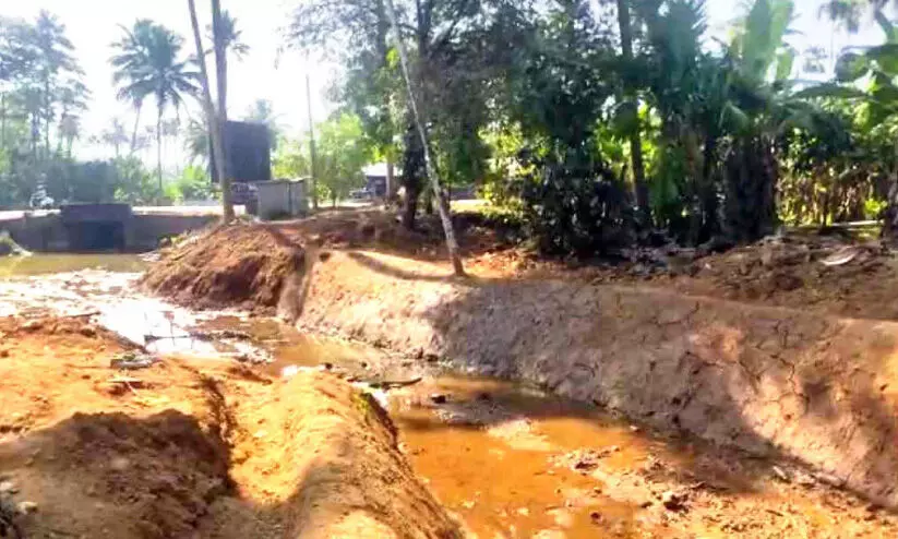 ആമത്തോട് ആമത്തോട്