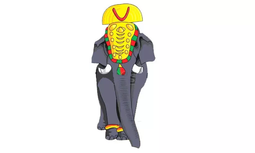 permission for elephant parading for Paramekkavu festival