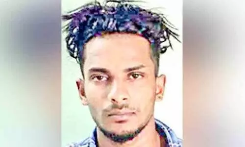 വീട്ടുവളപ്പിൽ വളർത്തിയ കഞ്ചാവ് ചെടികളുമായി ഒരാൾ അറസ്റ്റിൽ