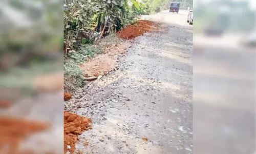 കുറ്റിപ്പാല - ചേന്ദമംഗല്ലൂർ റോഡ്