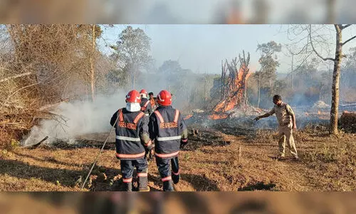 Forest fire in Sultan Bathery