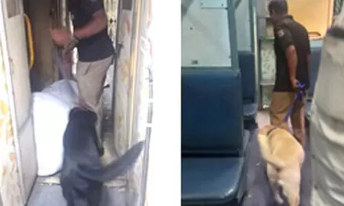 റെ​യി​ൽ​വേ സ്റ്റേ​ഷ​നി​ൽ പ​രി​ശോ​ധ​ന: മൂ​ന്ന​ര കി​ലോ ക​ഞ്ചാ​വ് ക​ണ്ടെ​ടു​ത്തു