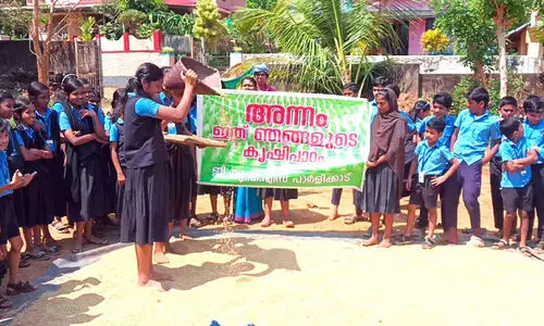 വിത്തിറക്കി നെല്ല് കൊയ്ത് കുട്ടികൾ; അരി ഉച്ചഭക്ഷണത്തിന്
