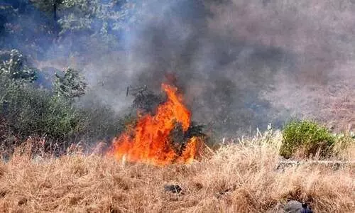 കാട്ടുതീ; പ്രതിരോധ പ്രവര്‍ത്തനം ഊര്‍ജിതമാക്കി വനം വകുപ്പ്