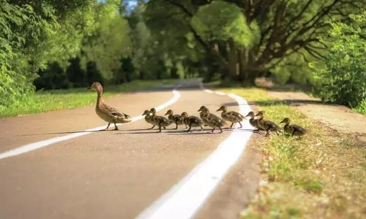 ‘അച്ചടക്കമാണ്, സൗകര്യങ്ങളല്ല നമ്മെ വളർത്തുക’