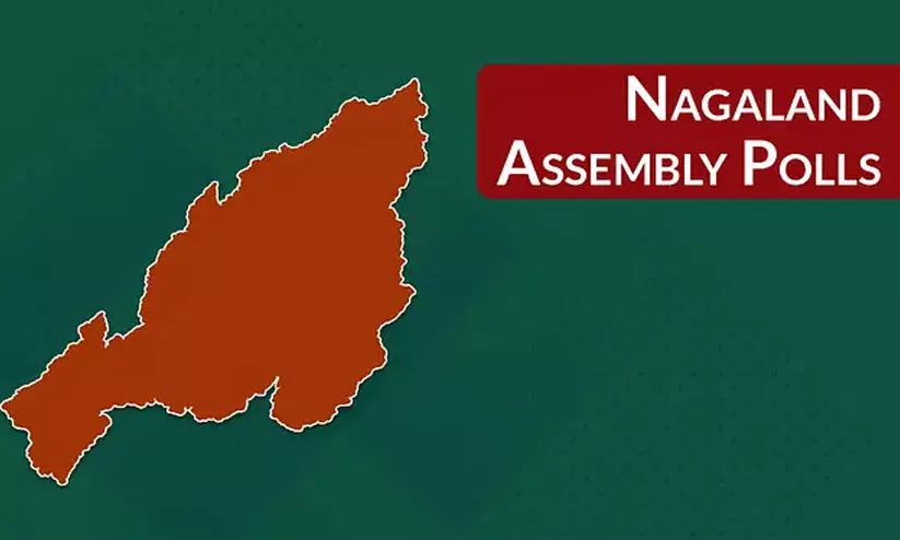 assembly election