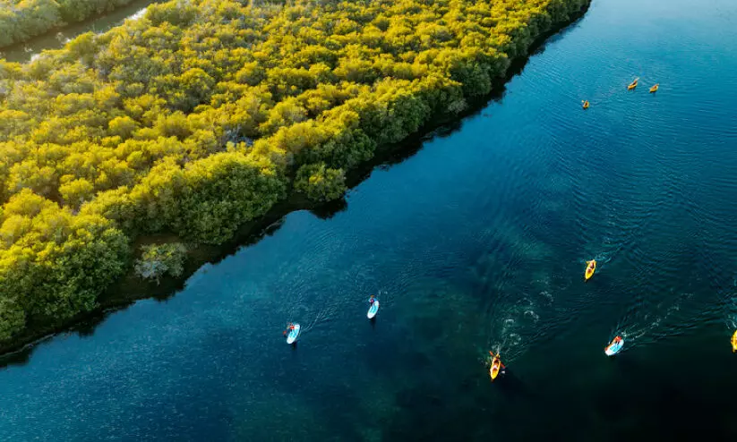 ശൈ​ത്യ​കാ​ല കാ​മ്പ​യി​ൻ വ​ഴി ഹോ​ട്ട​ൽ വ​രു​മാ​നം 180 കോ​ടി ദി​ർ​ഹം