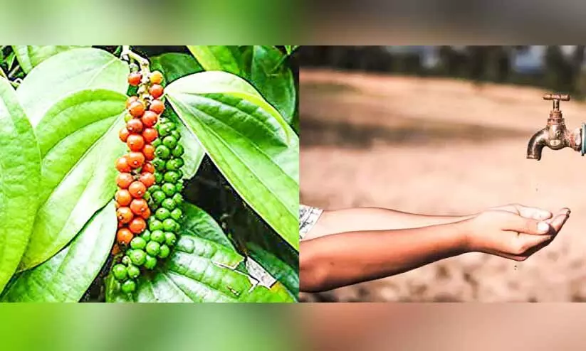 കുടിവെള്ളക്ഷാമം; കൃഷിനാശം