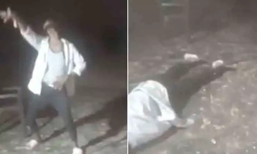 Telangana boy collapses