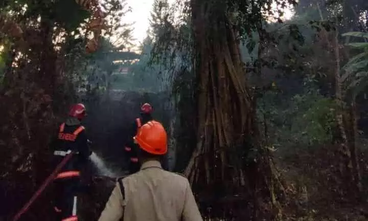 ഇടവയിൽ ഇടയിലവീട് കാവിൽ തീ പിടുത്തം ഇടവയിൽ ഇടയിലവീട് കാവിൽ തീ പിടുത്തം