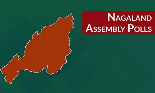 assembly election