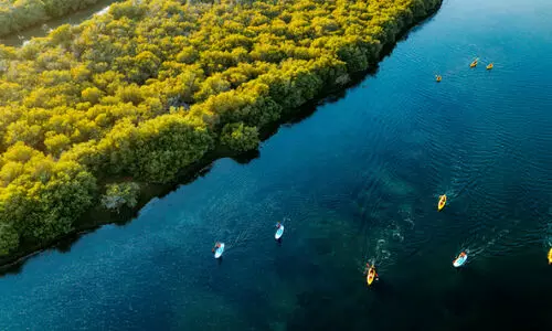 ശൈ​ത്യ​കാ​ല കാ​മ്പ​യി​ൻ വ​ഴി ഹോ​ട്ട​ൽ വ​രു​മാ​നം 180 കോ​ടി ദി​ർ​ഹം
