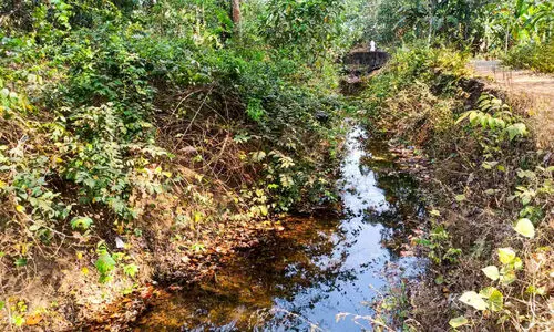 കനാൽ വൃത്തിയാക്കാതെ വെള്ളം തുറന്നുവിട്ടു