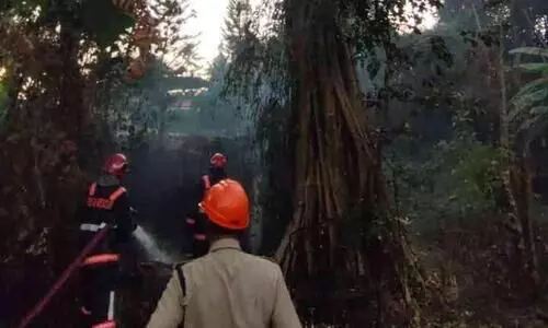 ഇടവയിൽ ഇടയിലവീട് കാവിൽ   തീ പിടുത്തം