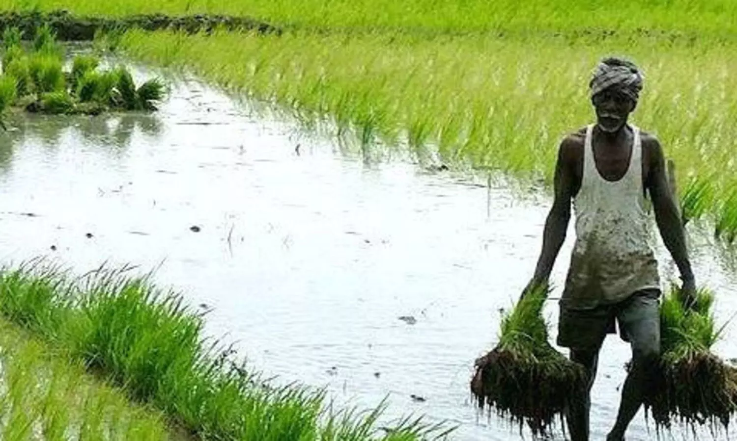 കാർഷിക കേരളത്തിനായി സഹകരണമേഖലയുടെ ഏഴിനപദ്ധതി തുടങ്ങിയെന്ന് വി.എൻ വാസവൻ