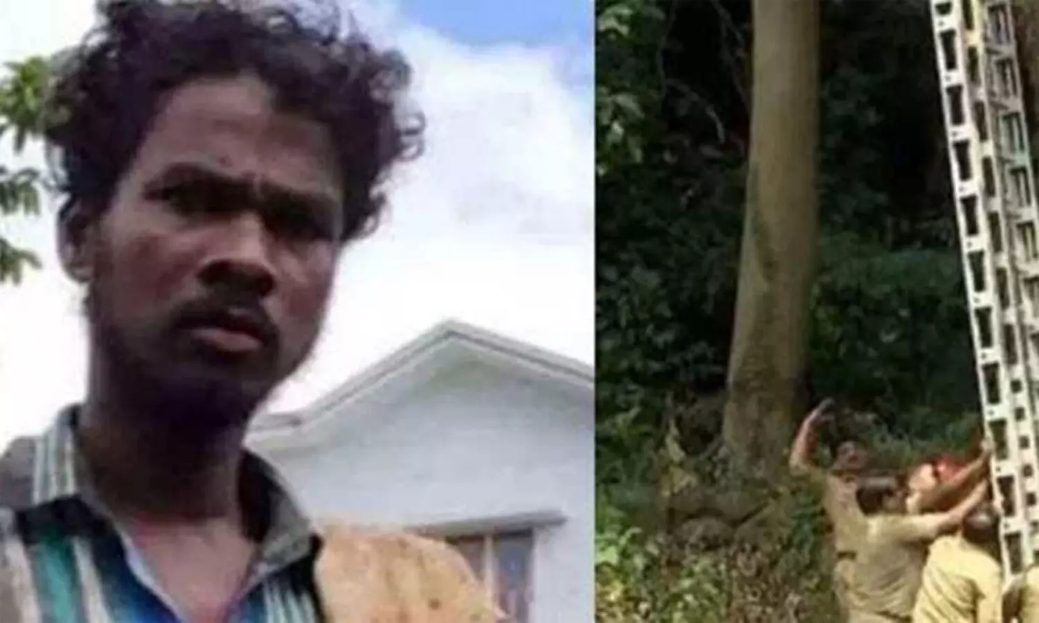 മധുവിന്റെ കേസ് അട്ടിമറിക്കാൻ ശ്രമിച്ചതിനാലാണ് വിശ്വനാഥന്‍ ആള്‍ക്കൂട്ട വിചാരണയെ നേരിട്ടതെന്ന് വി.ഡി സതീശൻ