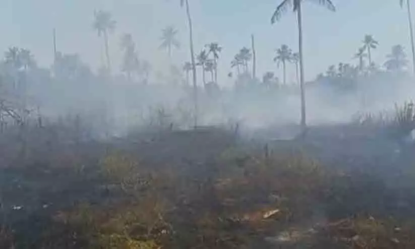 തെങ്ങിന്‍തോപ്പിന് തീപിടിച്ചു; വയോധികന്‍ പൊള്ളലേറ്റ് മരിച്ചു