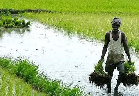 കാർഷിക കേരളത്തിനായി സഹകരണമേഖലയുടെ ഏഴിനപദ്ധതി തുടങ്ങിയെന്ന് വി.എൻ വാസവൻ കാർഷിക കേരളത്തിനായി സഹകരണമേഖലയുടെ ഏഴിനപദ്ധതി തുടങ്ങിയെന്ന് വി.എൻ വാസവൻ