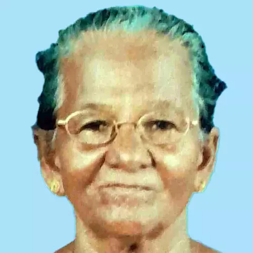 വ​യോ​ധി​ക ക​നാ​ലി​ല്‍ വീ​ണ് മ​രി​ച്ചു