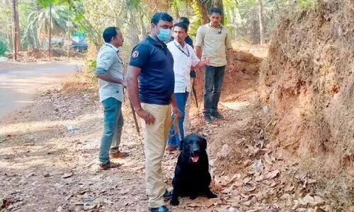 കുളങ്ങരത്ത്-നരിപ്പറ്റ റോഡിൽ സ്റ്റീൽ ബോംബ് സ്ഫോടനം
