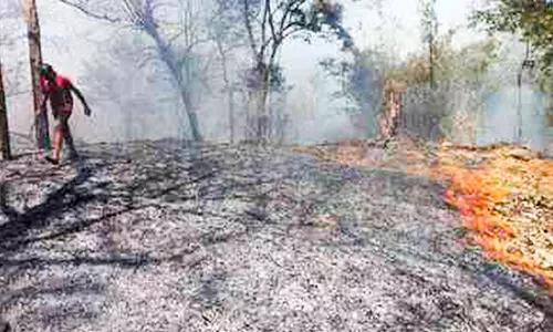 Fire broke out, idukki