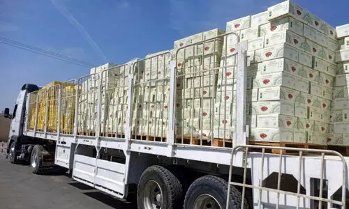 റ​മ​ദാ​ൻ അ​ടു​ക്കു​ന്നു; ഈ​ത്ത​പ്പ​ഴ വി​പ​ണി സ​ജീ​വം