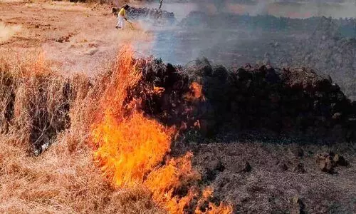 മാടായിപ്പാറയിൽ വീണ്ടും തീപിടിത്തം; ക​ത്തി​യ​മ​ർ​ന്ന​ത് നാ​ല് ഏ​ക്ക​റോളം പു​ൽ​മേ​ടു​ക​ൾ