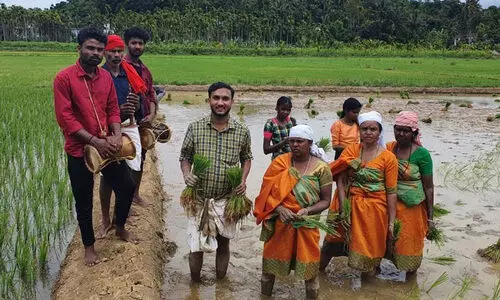 50 വ്യത്യസ്ത പദ്ധതികൾ; നാട്ടുനടപ്പുകളെ തിരുത്തിയെഴുതി വെള്ളമുണ്ടയിലെ വികസന പരീക്ഷണങ്ങൾ