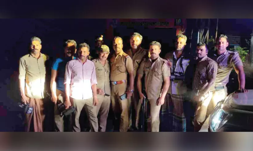 Wild Elephant-Forest Officer Wild Elephant-Forest Officer